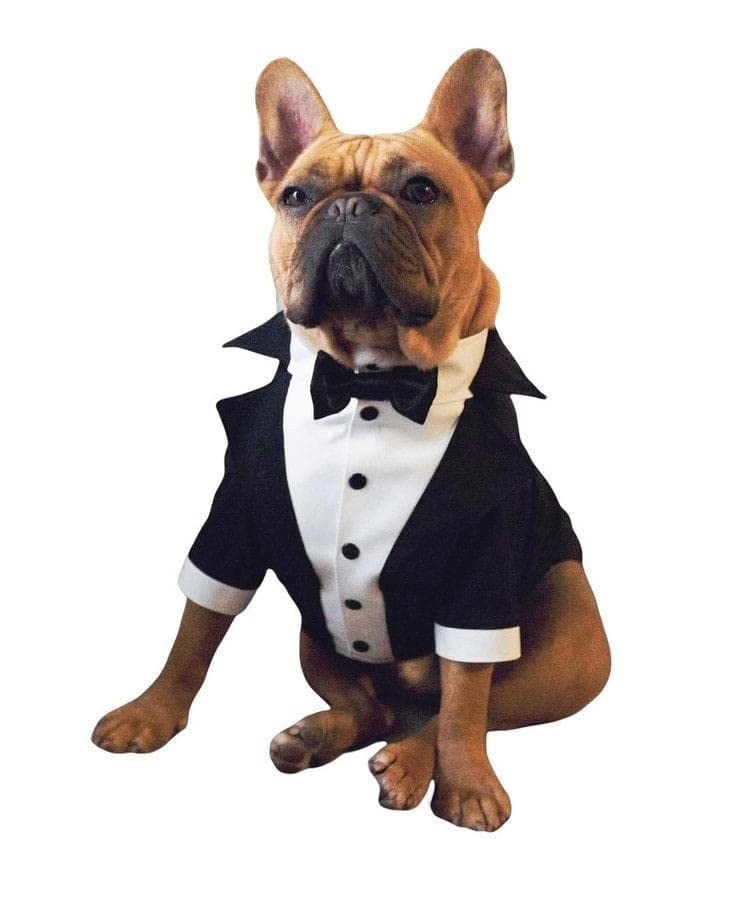 Dog Tuxedo  Shirt Formal With Bow Dogs Wedding Party Suit
